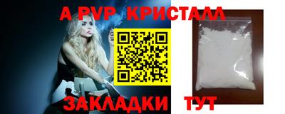 прущие грибы Гатчина