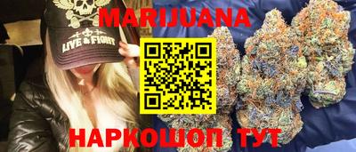 прущие грибы Гатчина