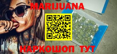 прущие грибы Гатчина