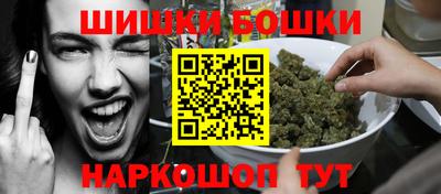 прущие грибы Гатчина