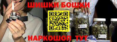 прущие грибы Гатчина