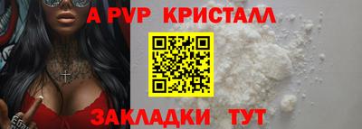 прущие грибы Гатчина