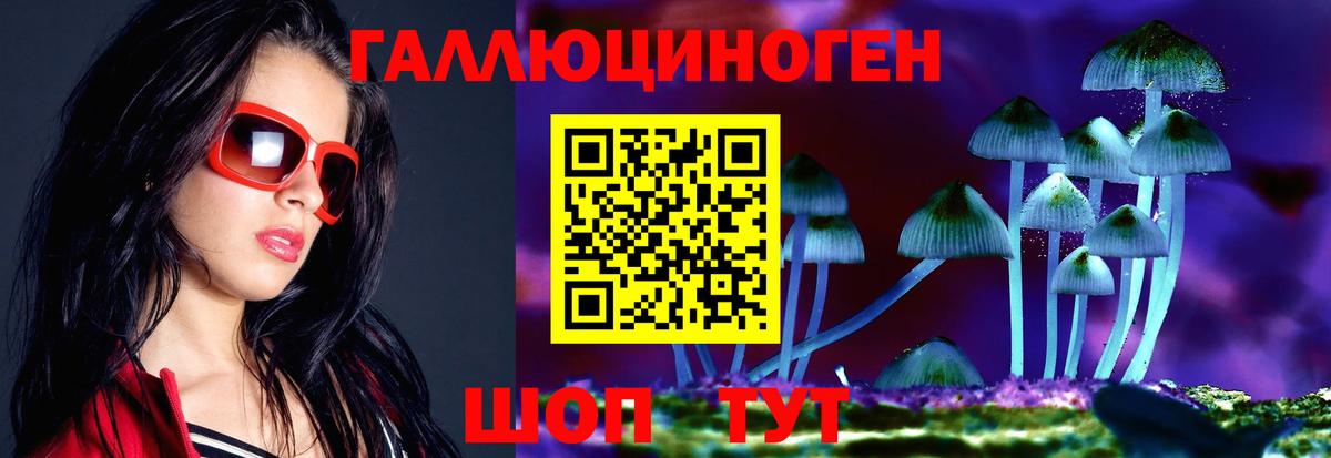 купить наркотик  Вход с VPN  Искитим  Псилоцибиновые грибы мухоморы 